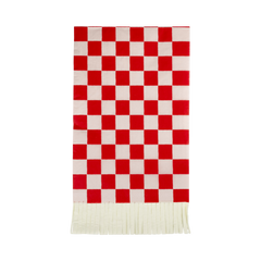 Red and Pink Checked Napkins - 24 pk - Pretty Day