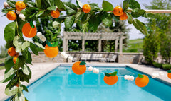 Felt Orange Fruit Banner