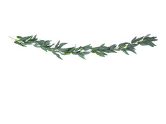 Willow Leaves Garland JN23 S9217 - Pretty Day