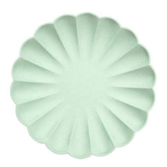 Simply Eco Friendly Party Mint Plates - Large- 8 pack S9088 - Pretty Day