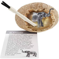 Dig a Dozen Safari Animals Kit S11 - Pretty Day