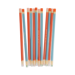 Colored Pencil Reusable Straws