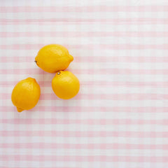 Hootyballoo by Club Green - Pink Gingham Paper Tablecloth (2.6 X 1.4 Metres) - Pretty Day