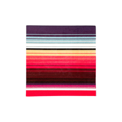 Southwest Vibes Cocktail Napkins 20pk. - Pretty Day