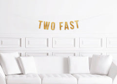 Two Fast Birthday Banner, Race Car Themed 2nd Birthday Decorations, Two Fast Decor, Boy Second Birthday - Pretty Day