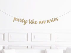 Party Like An Aries Banner - Pretty Day