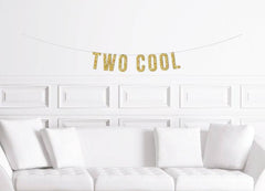 Two Cool Banner Boy's Second Birthday Party Sign - Pretty Day
