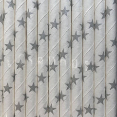 Silver Star Star Eco Friendly Paper Straws S0065 - Pretty Day