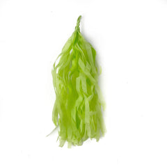 DIY Tassel 3 Pack- Lime Green - Pretty Day
