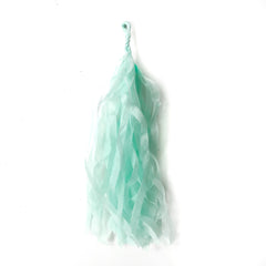 DIY Tassel 3 Pack- Mint - Pretty Day