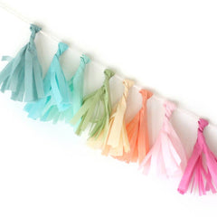 Mini Rainbow Tassel Garland Kit S1086 - Pretty Day