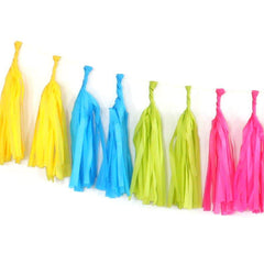 Neon Tassel Garland Kit S5103 - Pretty Day
