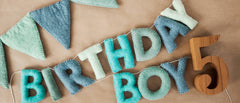 Birthday Boy Felt Letter Garland S8071 - Pretty Day